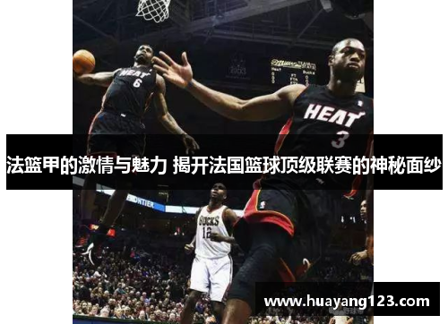 法篮甲的激情与魅力 揭开法国篮球顶级联赛的神秘面纱